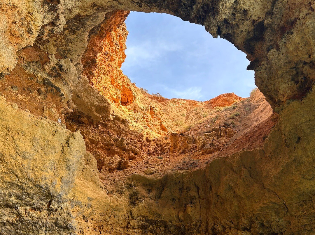 Wildwatch Algarve景点图片
