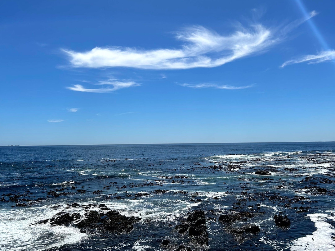 Sea Point Beach-Sea Point必去景点