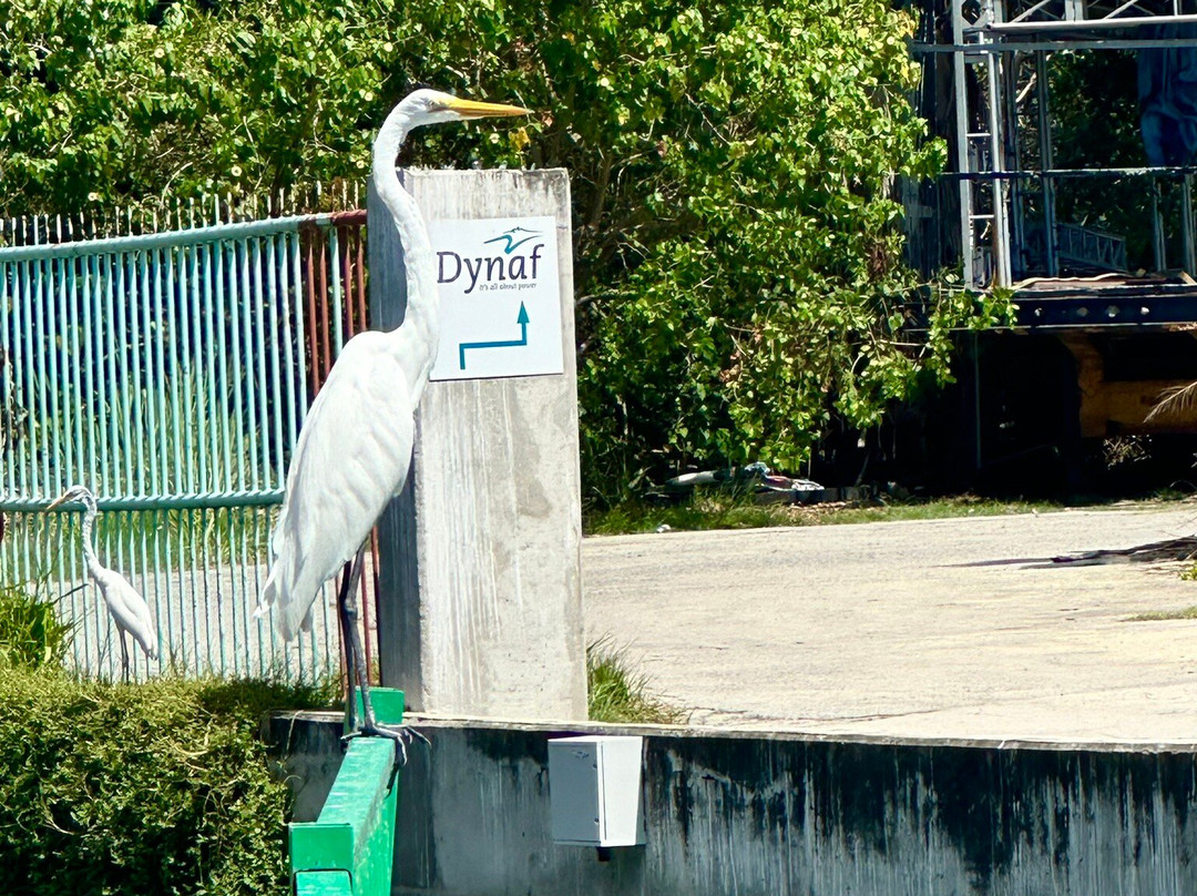 Amsterdam Cheese and Liquor Store-菲利普斯堡必去景点