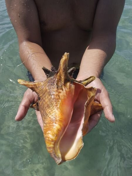 Barbuda Express-圣 约翰必去景点