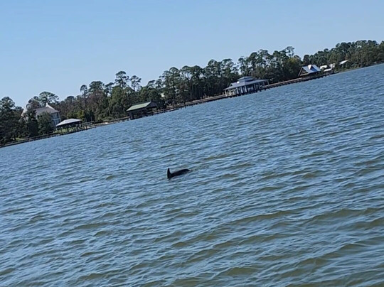 Caribe Cruiser-橙色海湾必去景点