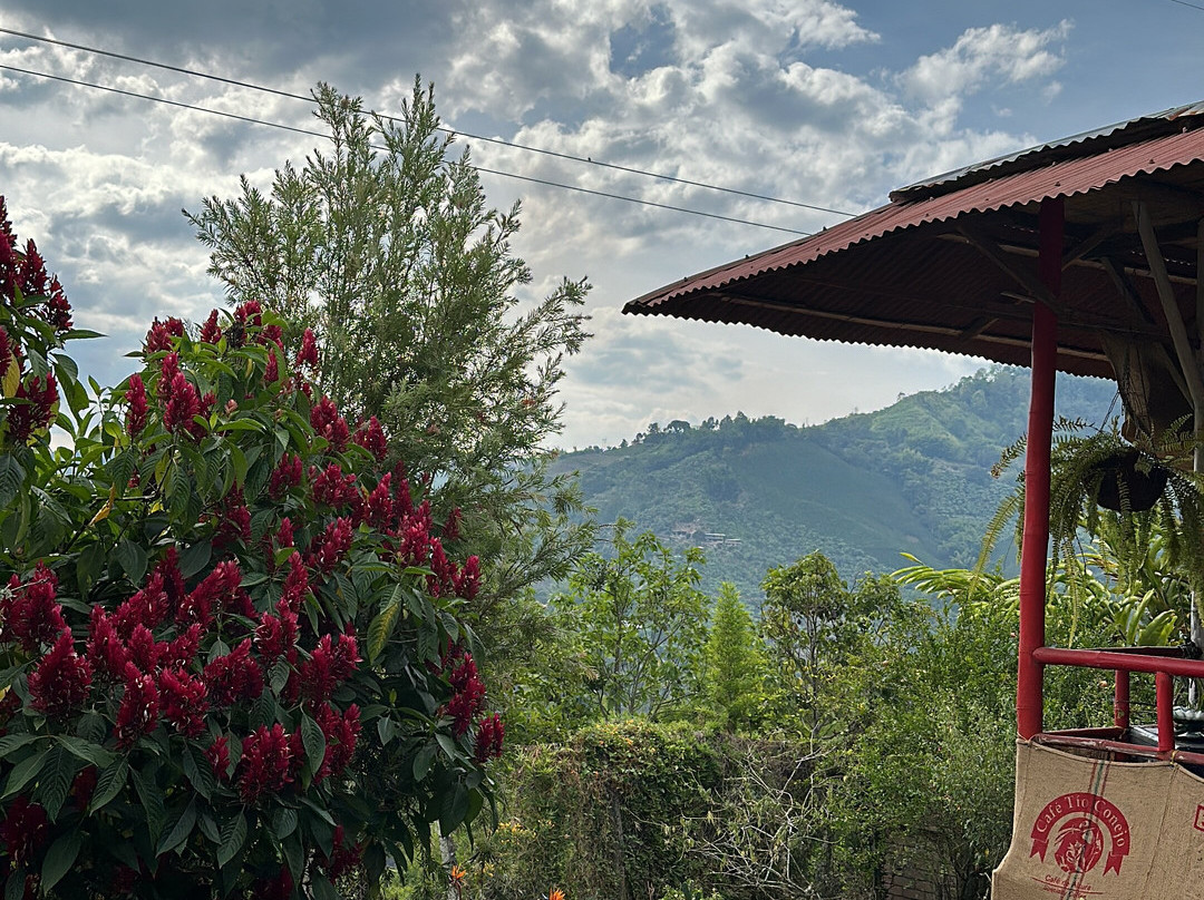 Cafe Tio Conejo-Manizales必去景点
