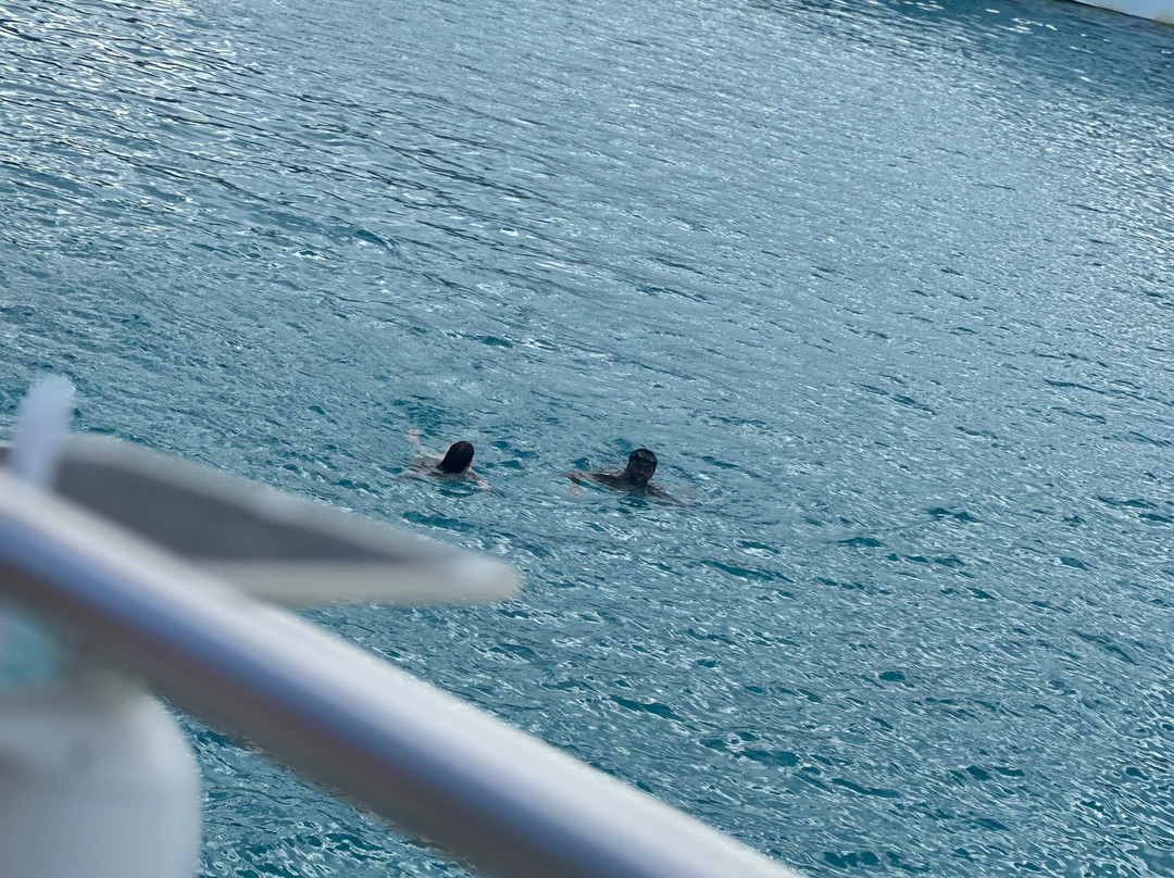 Chris Excursions-帕福斯必去景点