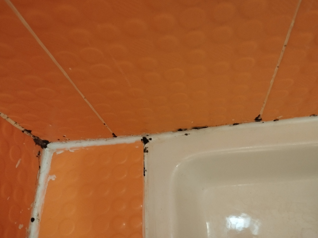 Roccelletta酒店住宿-B e B Le Terrazze sul Mare