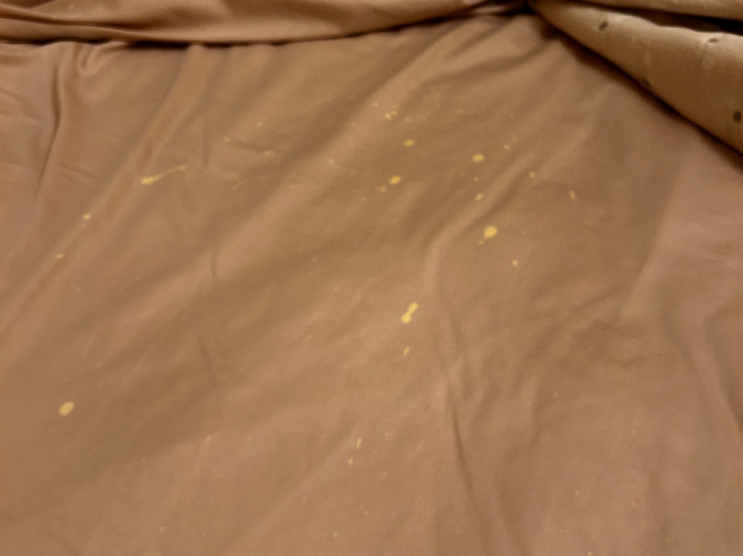 Fairview Bed and Breakfast Estate主图