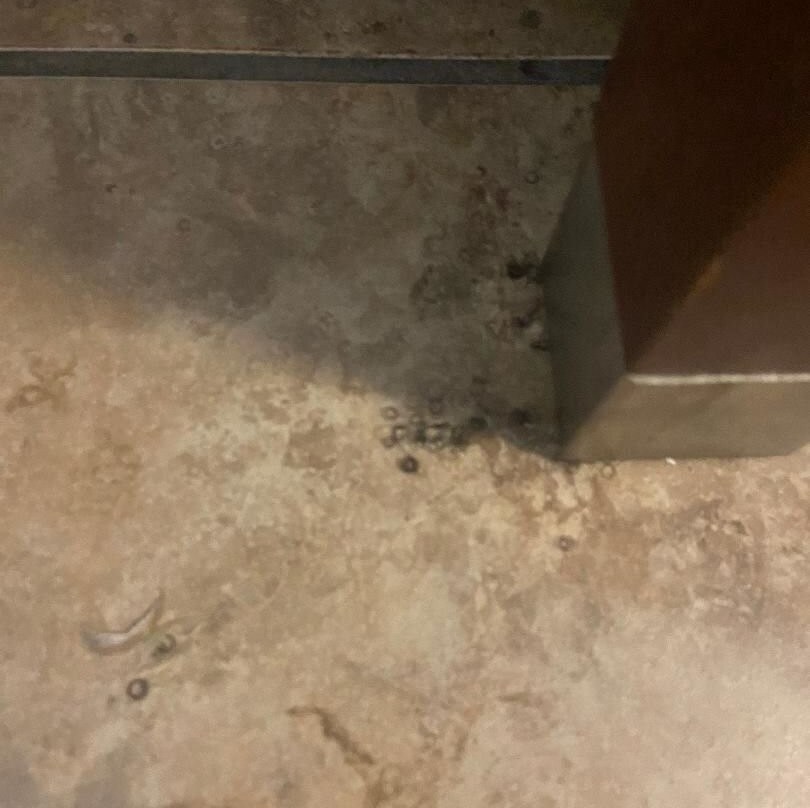 Comfort Suites Panama City Near Tyndall AFB主图