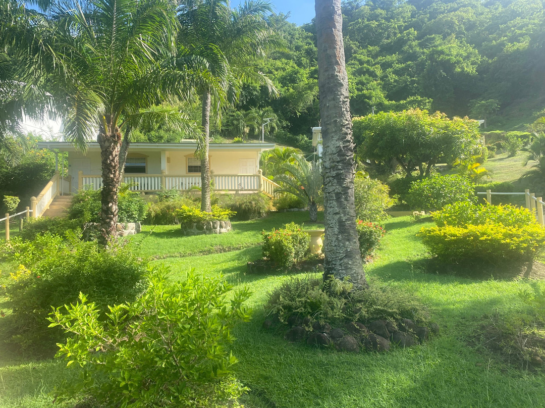 蓝色地平线花园度假酒店主图