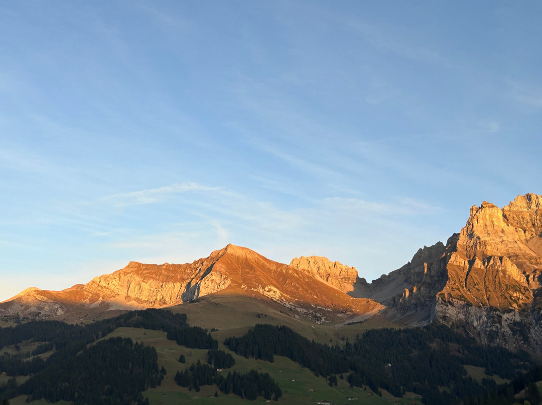 寒武纪酒店主图