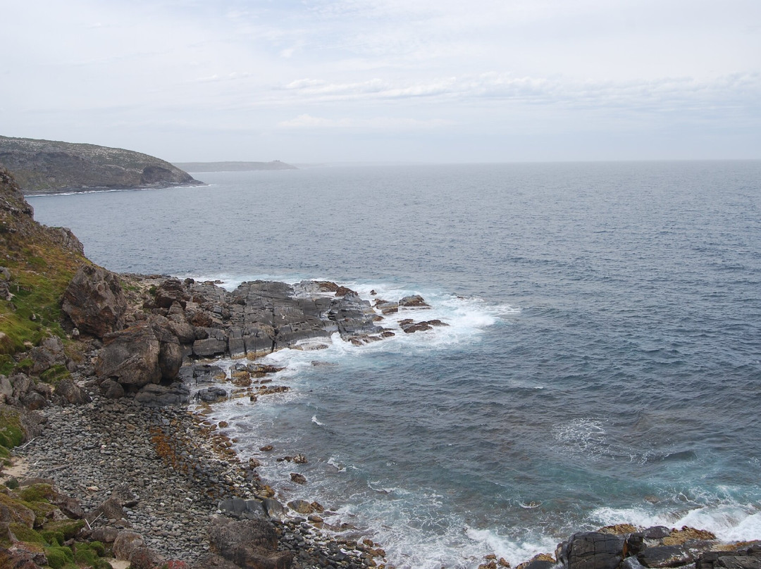 Admirals Arch-袋鼠岛必去景点