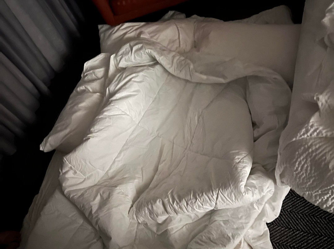 波士顿安杜佛万怡酒店主图