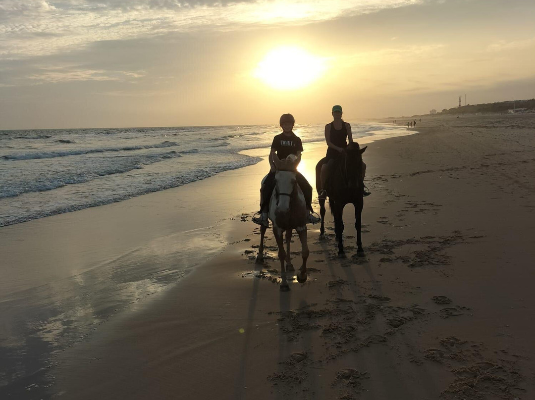 Tavira Equestrian Tourism-塔维拉必去景点
