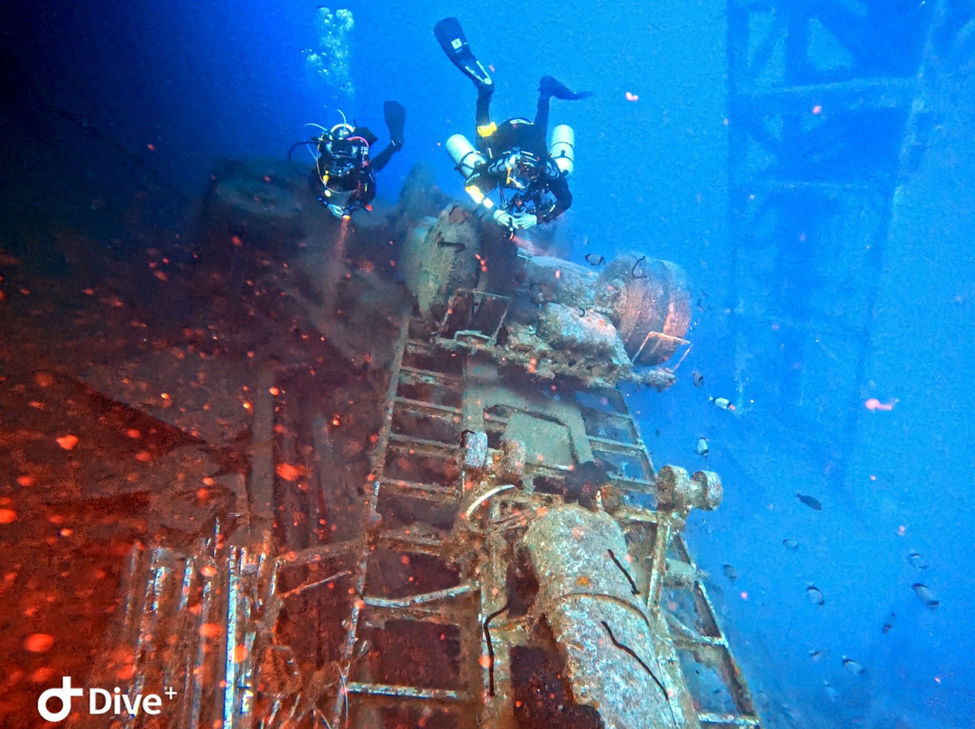 Viking Divers-拉纳加必去景点