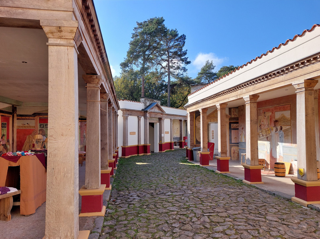 Museumpark Orientalis景点图片