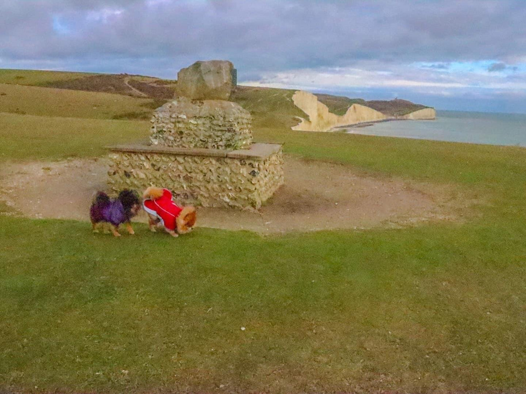 Friston Forest景点图片