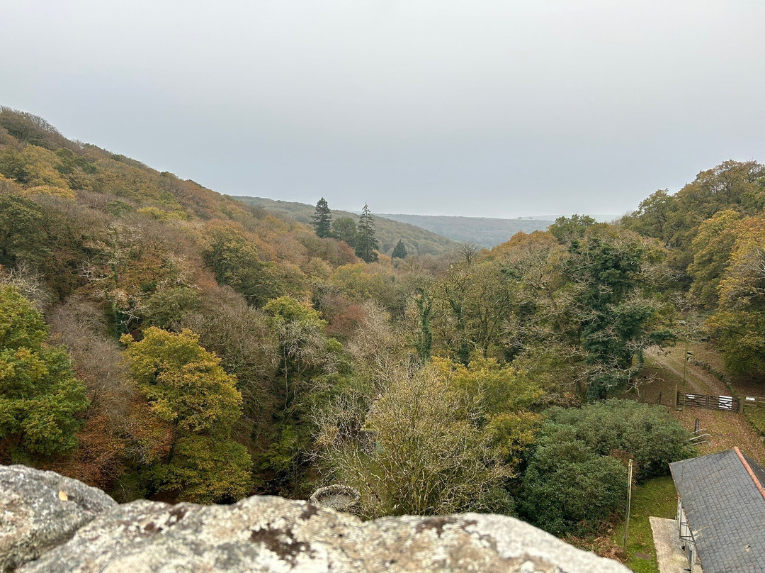 Burrator Reservoir景点图片