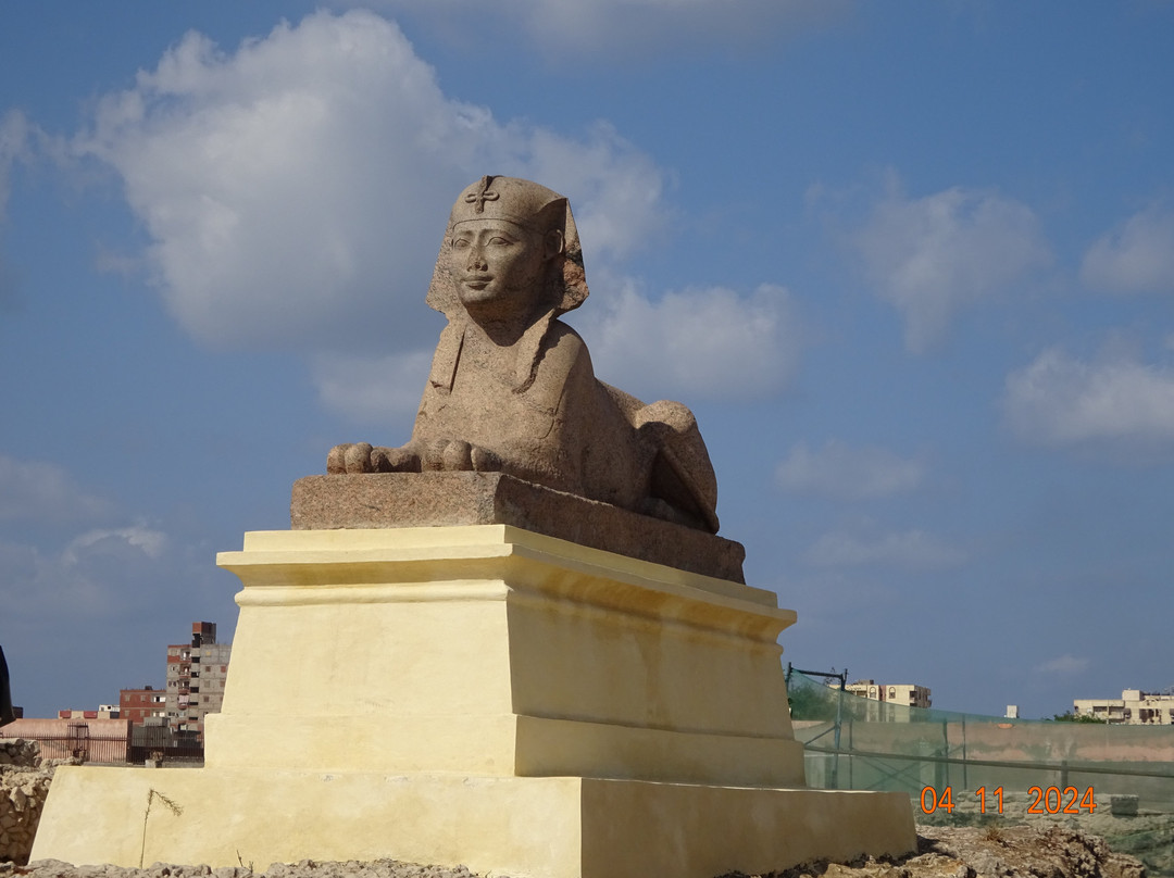 KING OF EGYPT-Sheikh Zayed City必去景点