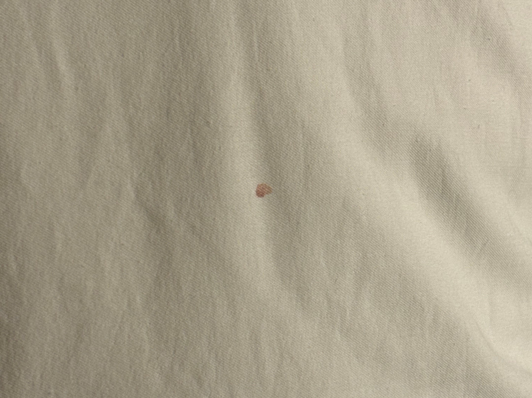 The Warrior Hotel, Autograph Collection主图