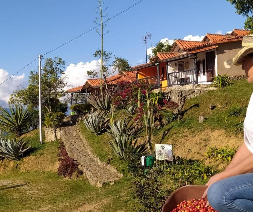 Cabañas Cañon Del Chicamocha