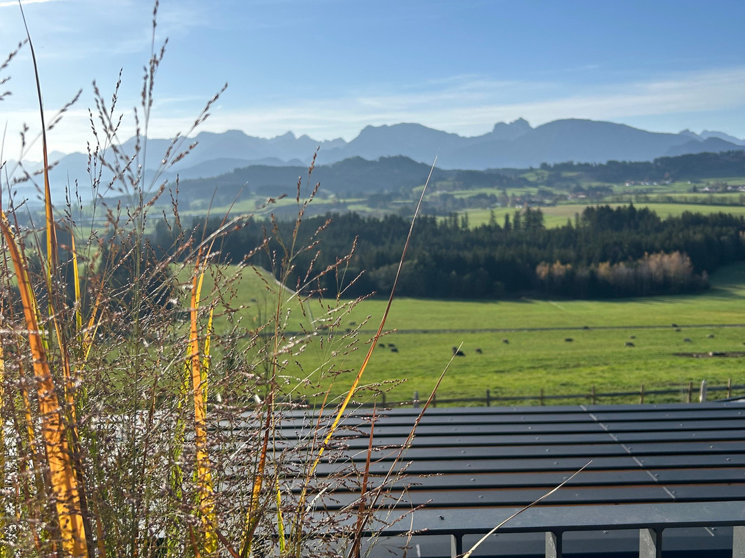 PANORAMA Allgäu-Spa-Resort主图