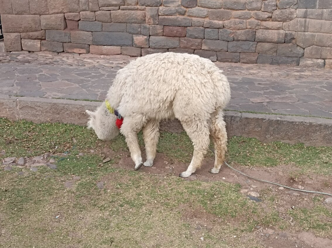 Callejon de Loreto-库斯科必去景点