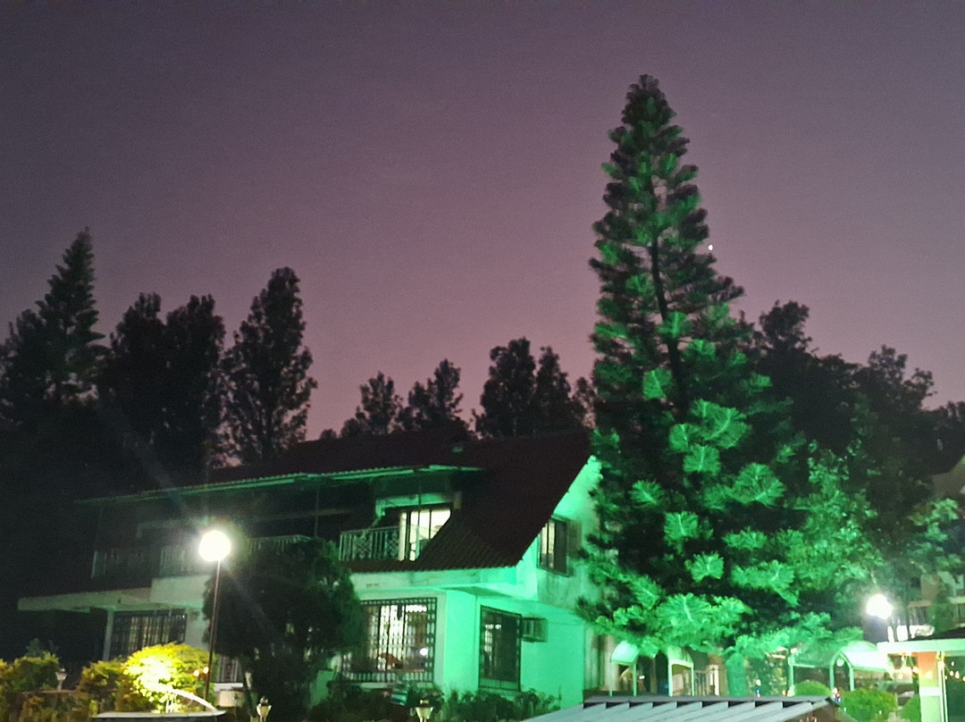 Treebo Trend Raval Resort主图