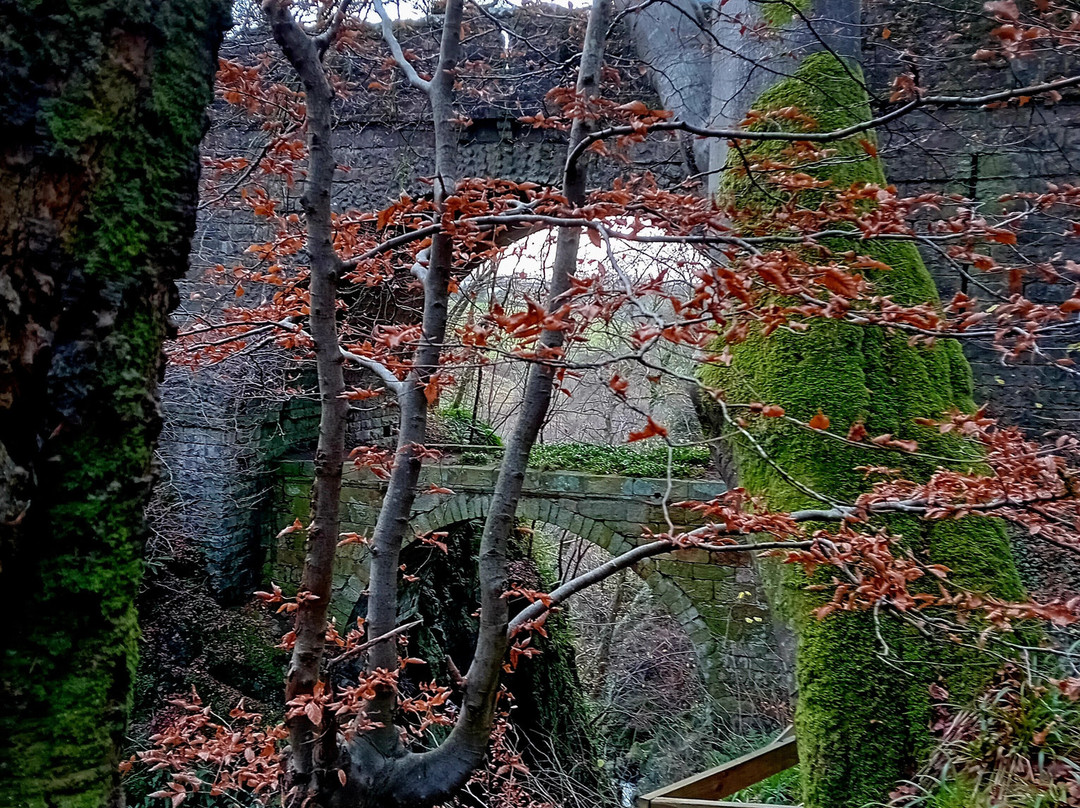 Rumbling Bridge Falls-Dunkeld必去景点