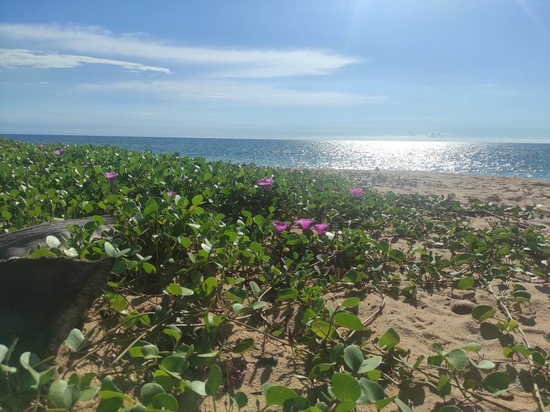 萨恩玛丽比琪酒店主图