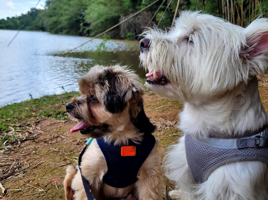 Fazenda Nossa Senhora da Conceicao-容迪亚伊必去景点