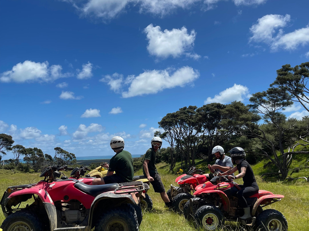 4Track Adventures-奥克兰中心地区必去景点