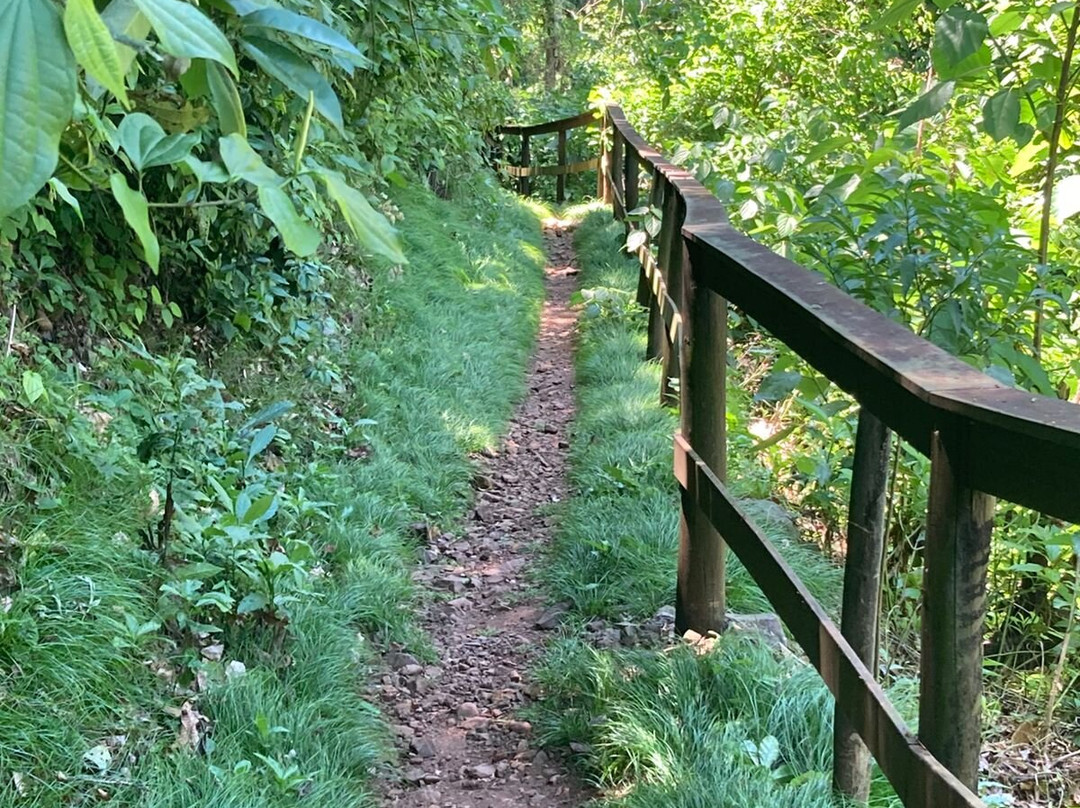 Cassorova Hotel Boutique主图