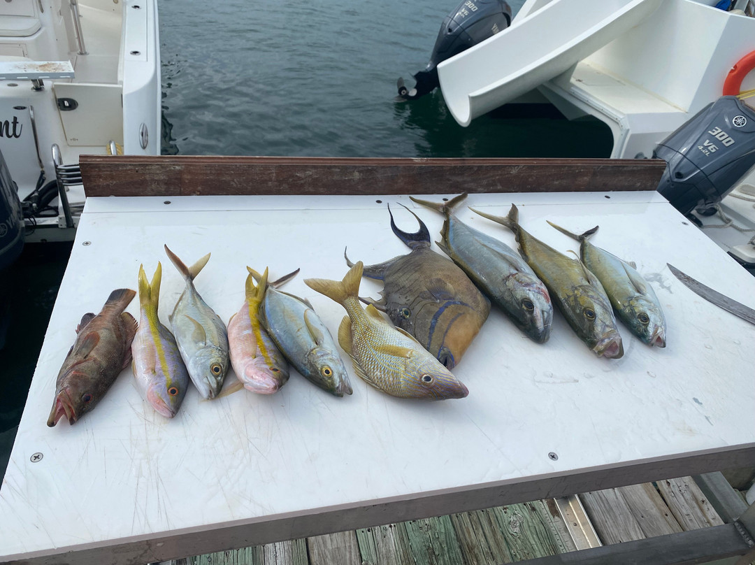 Island Roots-普罗维登西亚莱斯必去景点