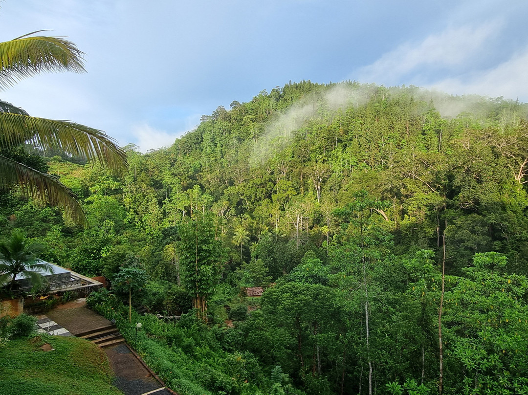 Jansens Bungalow主图