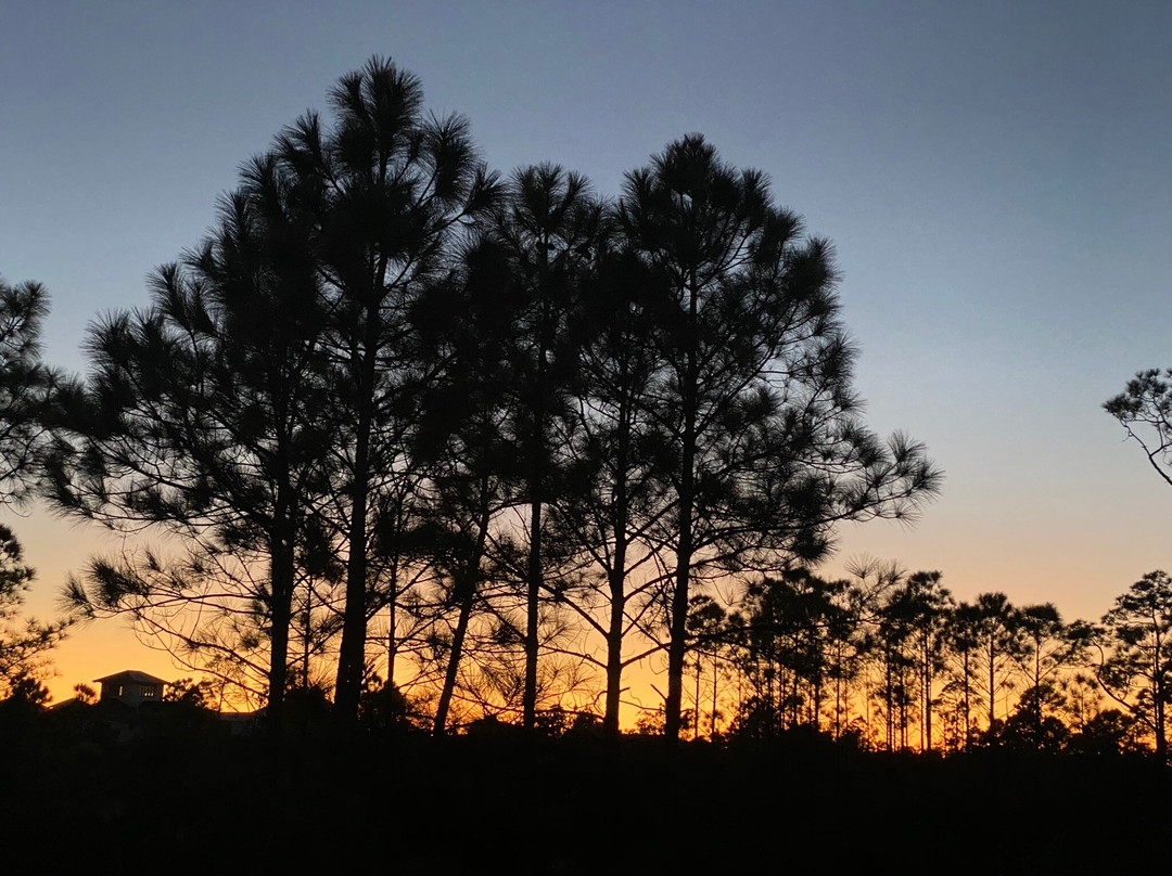 Hugh S. Branyon Backcountry Trail-橙色海湾必去景点