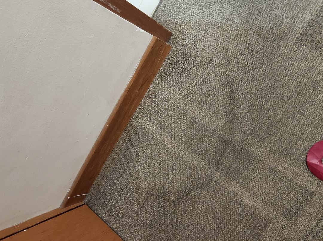 Hotel Mision Express Monterrey Aeropuerto La Fe主图