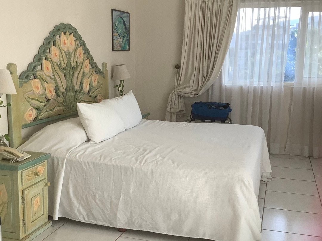 Marina Banderas Suites Hotel Boutique主图