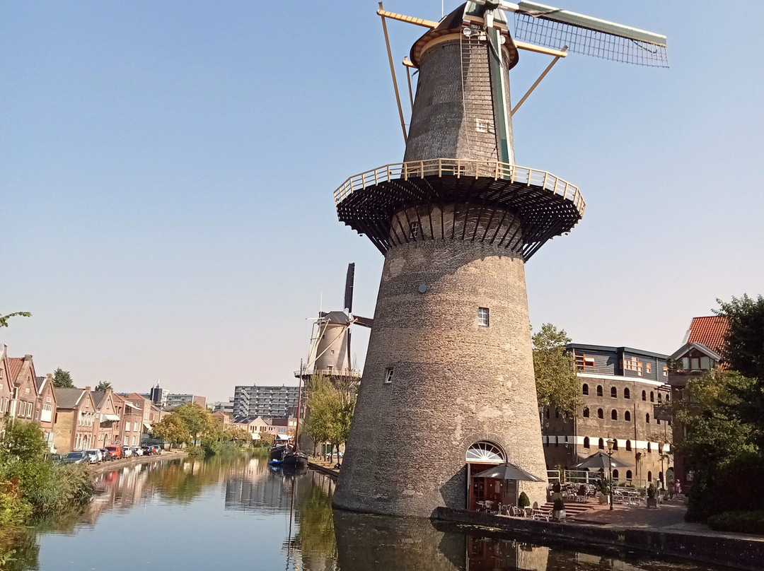 Schiedam Windmills景点图片
