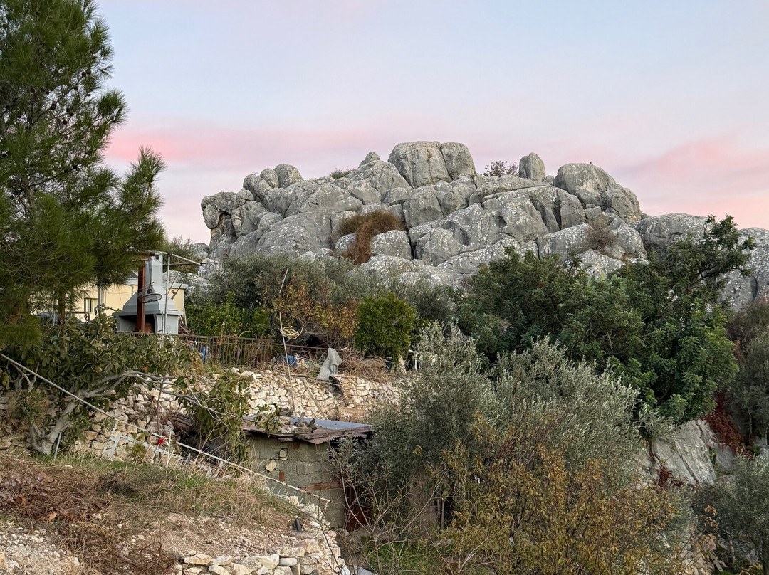 Episkopi Pafos Environmental Information Centre-Episkopi必去景点