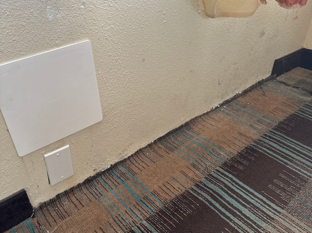 Comfort Inn & Suites主图