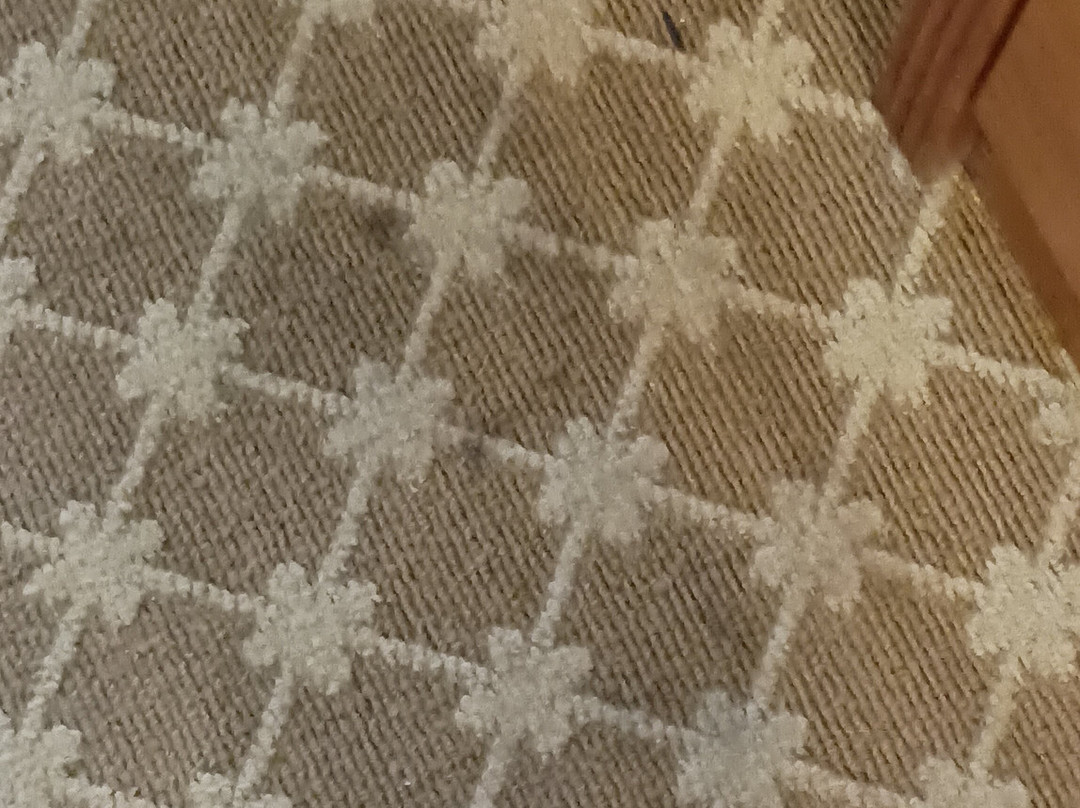 Quality Inn & Suites主图