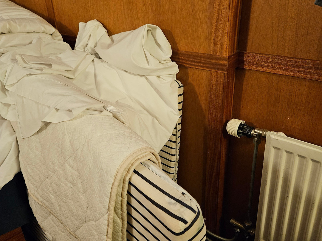 巴肯维京酒店主图