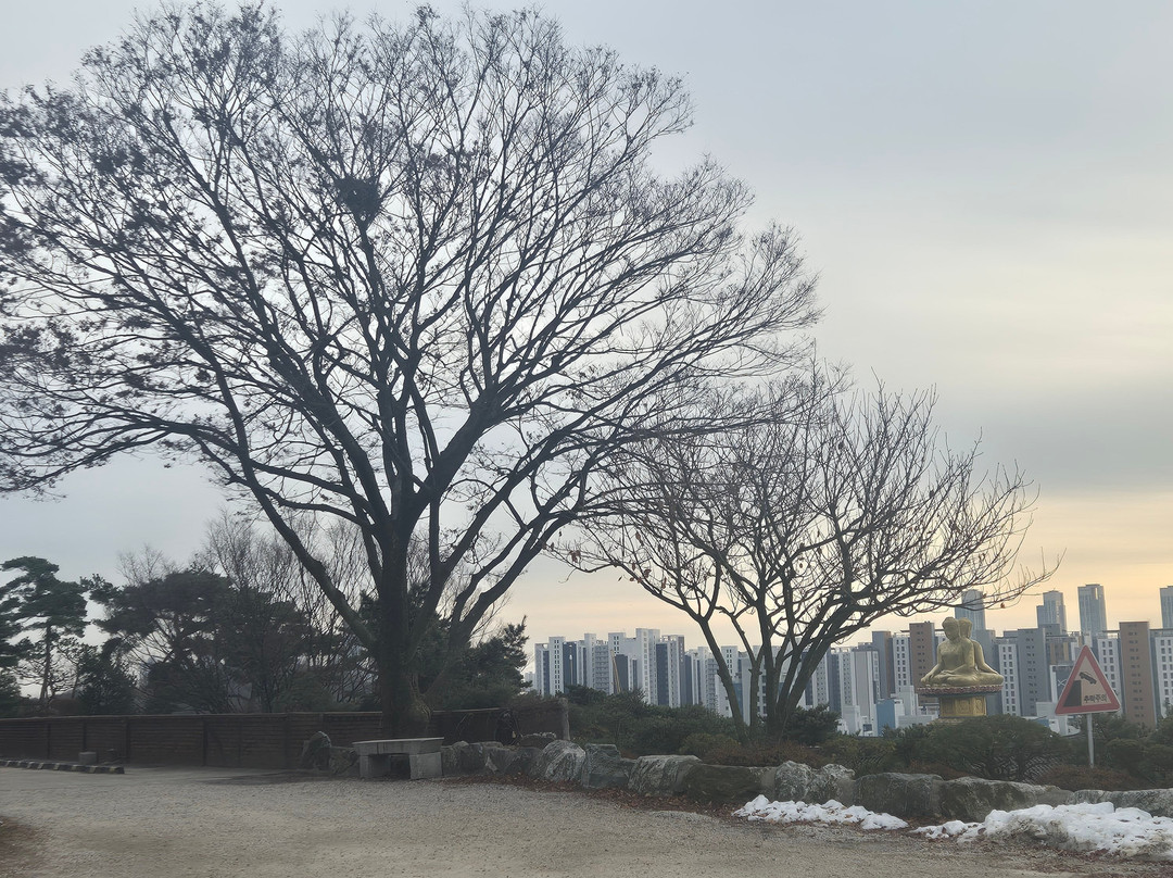Heungryunsa Temple-仁川必去景点