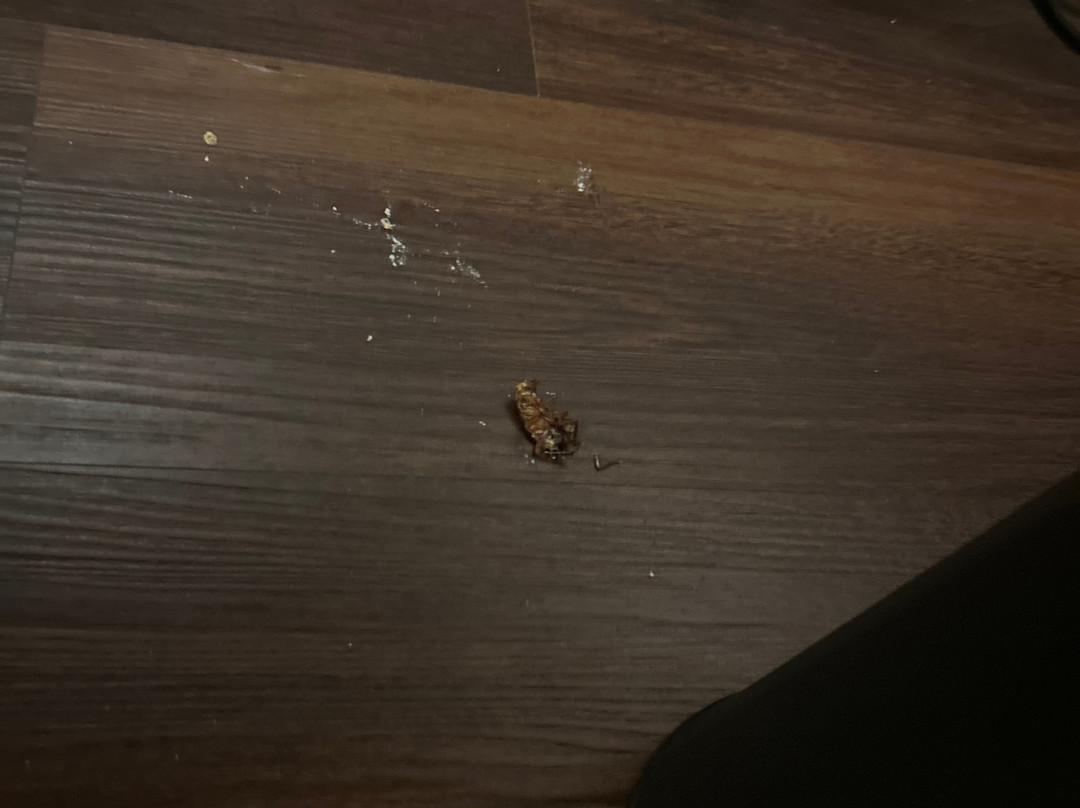 Wyndham Riverfront Little Rock主图