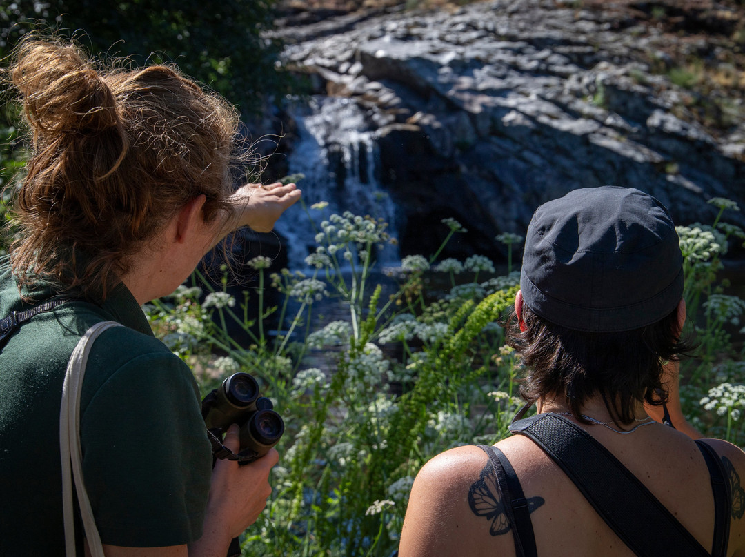 Rewilding Portugal - Touristic Experiences-Pinhel必去景点