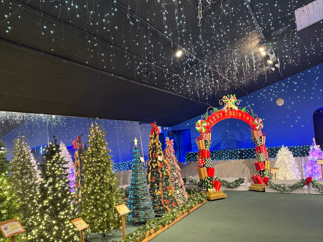 Robert's Christmas Wonderland-克利尔沃特必去景点