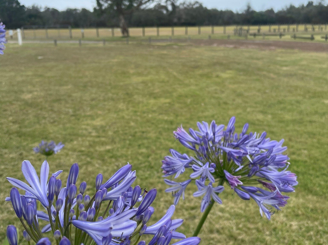 Veronica Maybury Recreation Reserve-Golden Beach必去景点