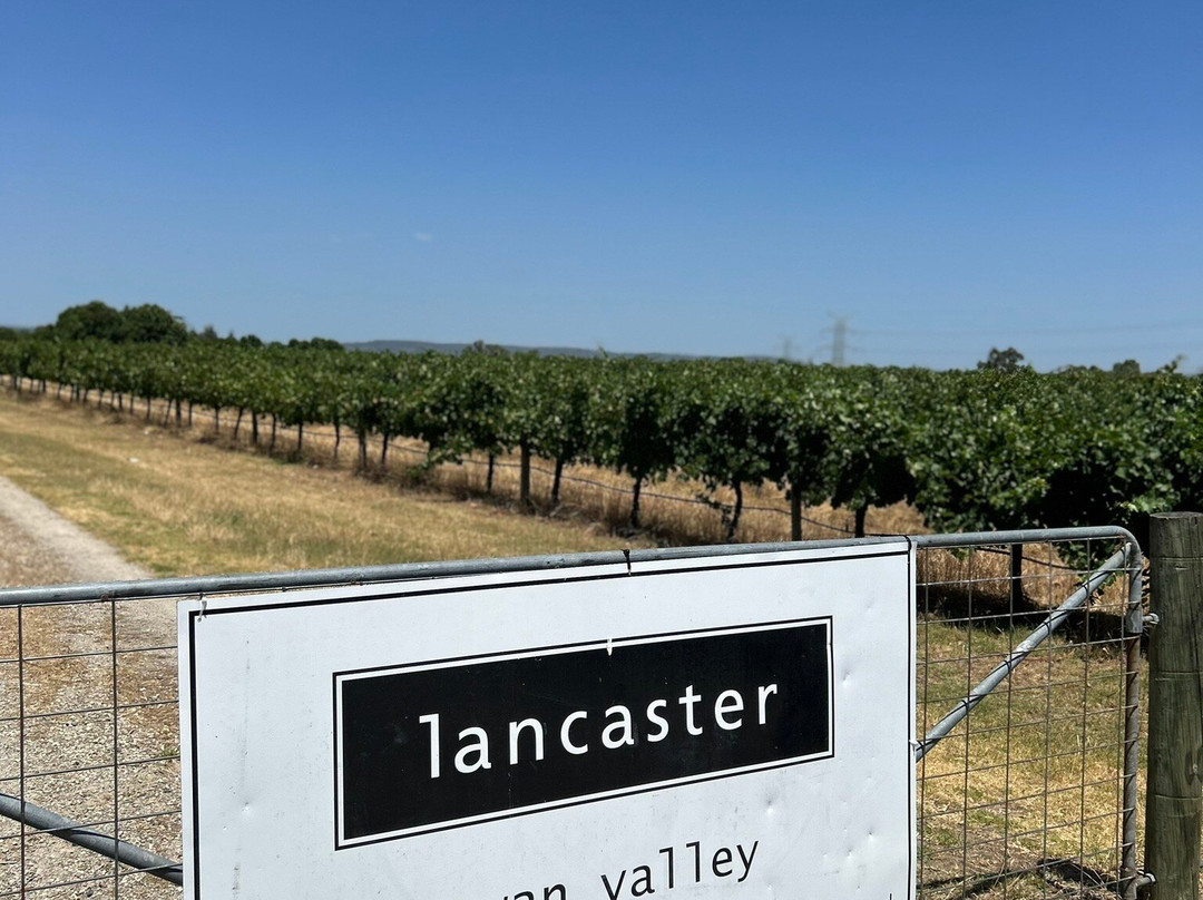 Lancaster Wines景点图片