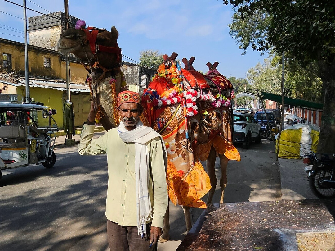 Khajuraho Rancho Homestay主图