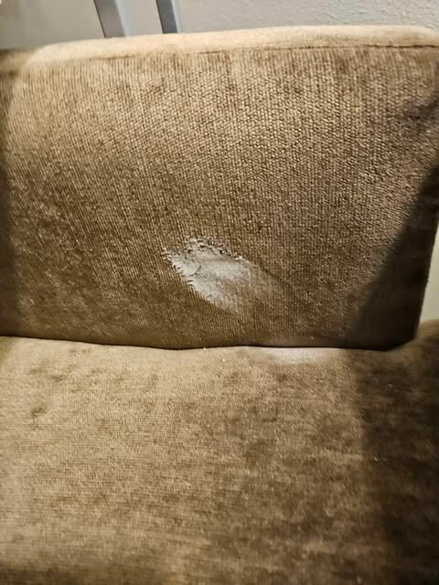 TownePlace Suites by Marriott Pittsburgh Airport/Robinson Township主图