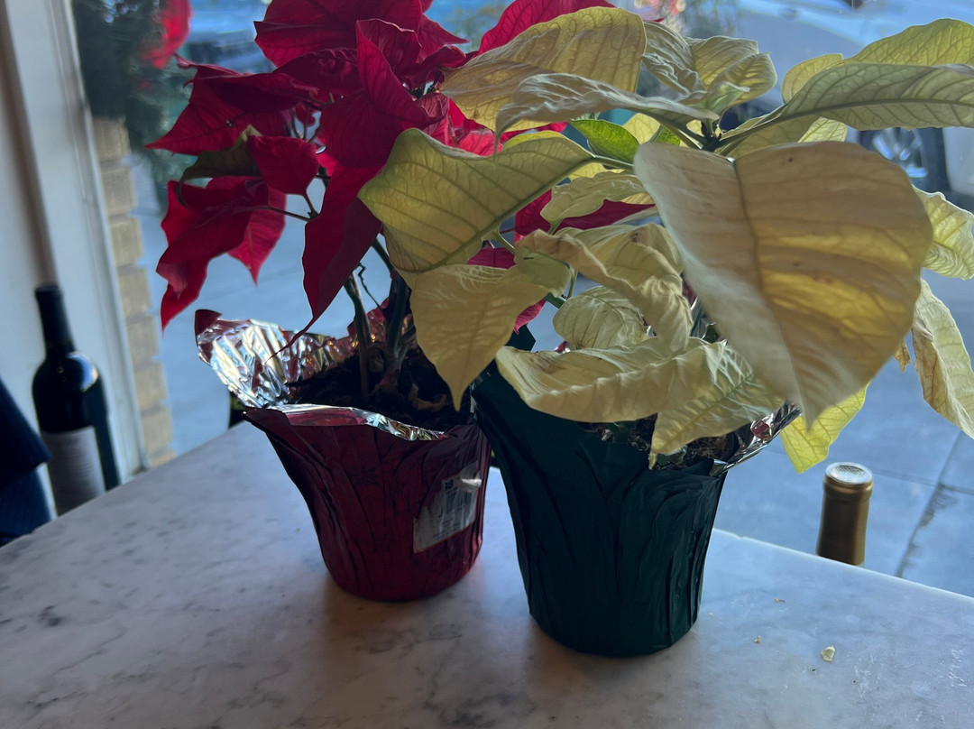 Narrow Path Winery-弗雷德里克斯堡必去景点