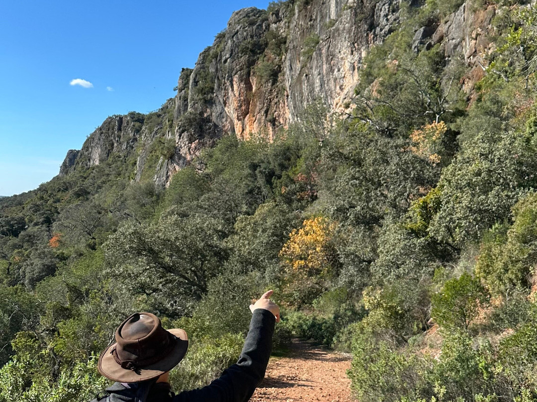 Morgan's Nature Walks-Salir必去景点